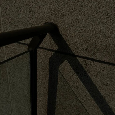 遂平福瑞交流群